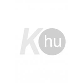 Raid szúnyog-és légyirtó korong ut 2db 22003709