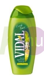 Vidal tus 250ml fresh tonic 10010032
