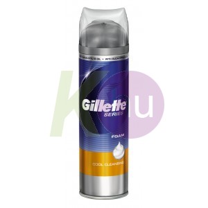 Gillette Gil. bor.hab series 250ml cool cleansing 11000506