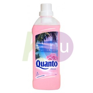 Quanto 1l Hawaii 12000324