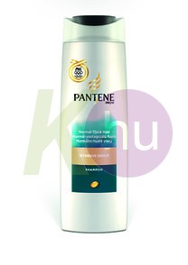 Pantene sampon 250ml Intensive repair 13016710