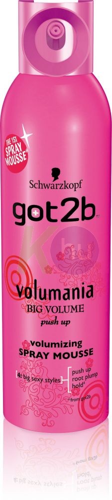 Got2b hajhab 250ml Volumania 14006725