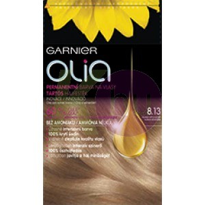 Garnier Olia 8.13 14169320