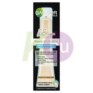 Garnier BB Cream oil free medium 14528909