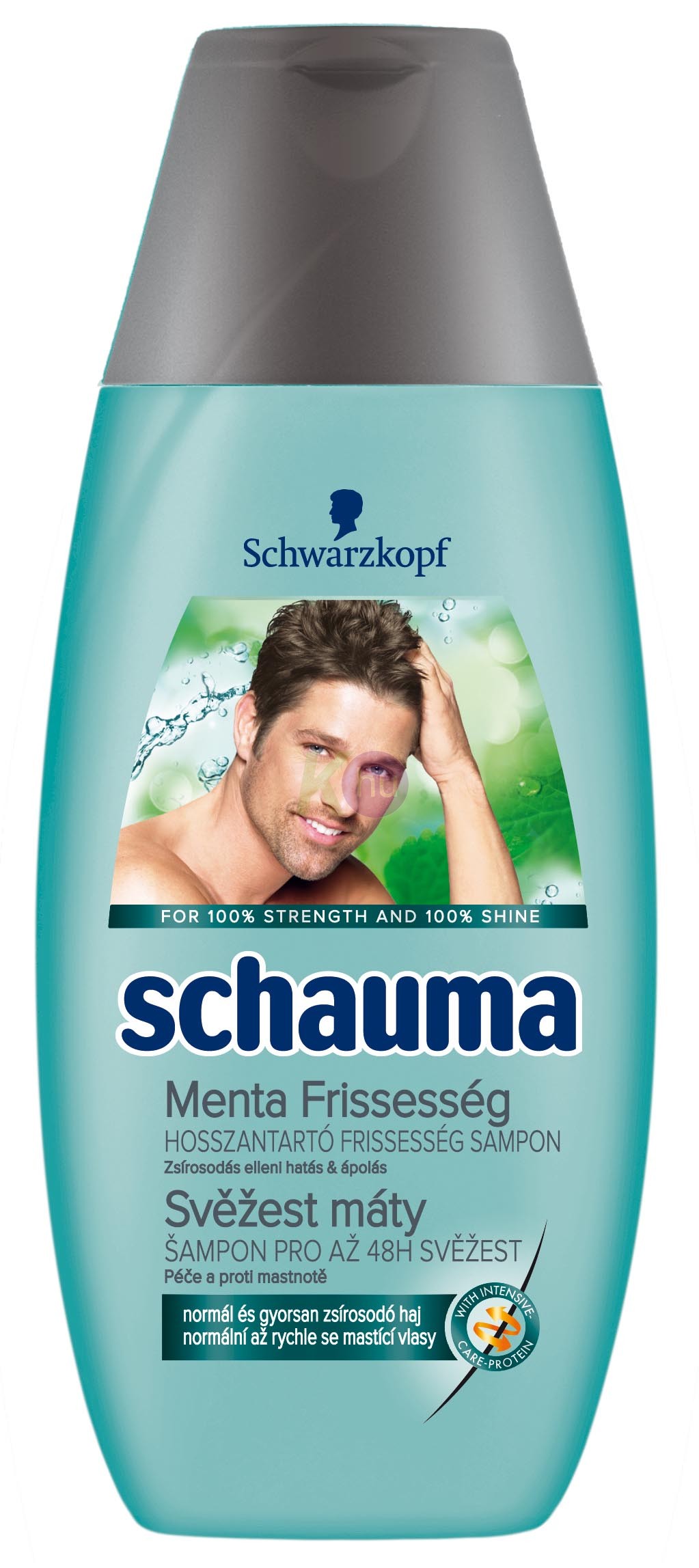 Schauma sampon 250ml mint fresh men 15308944