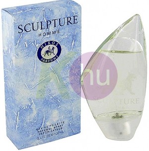 Sculpture do 100ml 18054801