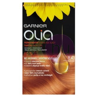 Garnier Olia 8.43 Int. rézszőke 19982342