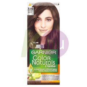 Garnier Color Naturals Frozen 5.00 Deep Med 19982692
