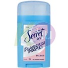 Secret platinum stift 40ml S.Delicate 11401200