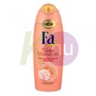 Fa tus 250ml Divine Moments 11950177