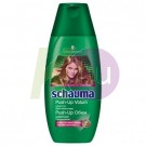 Schauma sampon 250ml push-up volumen 13010812