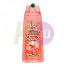 Fructis sampon 400ml Grapefruit Tonic 13145111