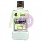 Listerine szájvíz 250ml Soft Mint 16003509