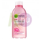 Garnier skin naturals Garnier s.n.ess.tej száraz200 /62 19122801