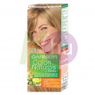 Garnier Color Naturals 8 19146102