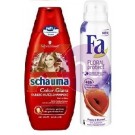 MULTI 14 kar.csom Schauma sampon 250ml Color+Fa deo 150ml Pipacs&Csillagvirág 19727177