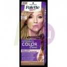 Palette ICC BW10 Púderes szőke 19727452