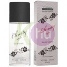 Classic Collection EDT - Christy 19800111