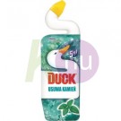 Toilet Duck 750ml Mint 24061608