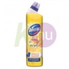 Domestos wc gél 700ml Lemon 24158890