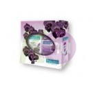 Palomlive Palmo. 13 kar.csom Black Orchid tus+Lady stift 52635903